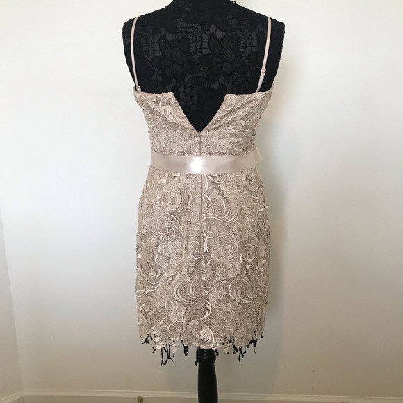 Cache’ Dress - Picture 2 of 2